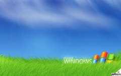 雨林木风打造最安全的Windows XP系统