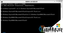 雨林木风纯净版win8系统无法添加flash插件的问题