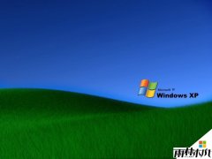 雨林木风XP纯净版系统中CPU为什么占用率100%