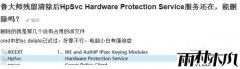雨林木风纯净版Win10专业版中hardware protection service是什么