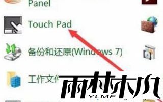 鼠标接入自动禁用触摸板的方法是什么_win10接入鼠标时禁用触摸板的方法