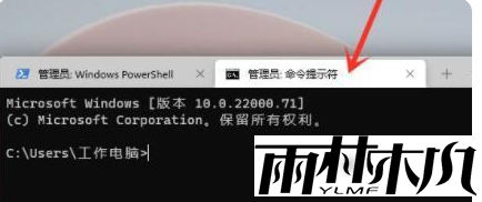 Win11命令提示符怎么打开