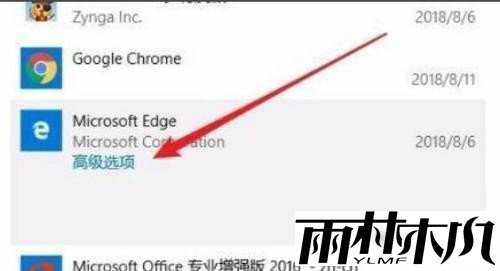 Win11无法启动浏览器