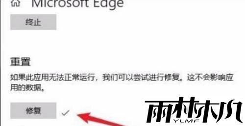 Win11无法启动浏览器