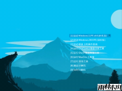 CowPE免费纯净版U盘系统无捆绑 v1.2.5