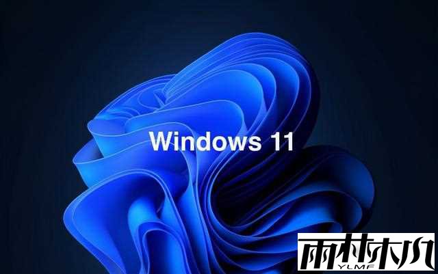 Win11升级激活_<a href='http://www.xylmf.com/win11/' target='_blank'><u>win11专业版</u></a>激活密钥 神KEY