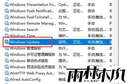 Win11不更新系统设置方法