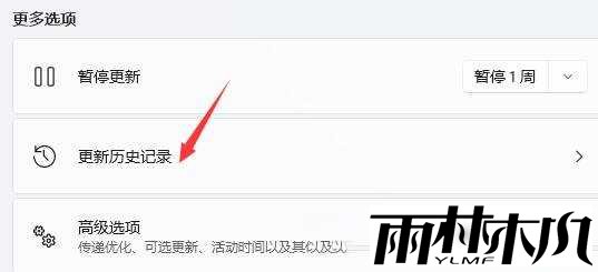 Win11显示屏一直闪屏的解决方法
