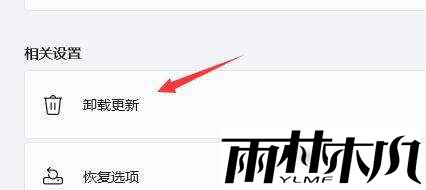Win11显示屏一直闪屏的解决方法