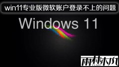 雨林木风解决win11专业版微软账户登录不上的问题