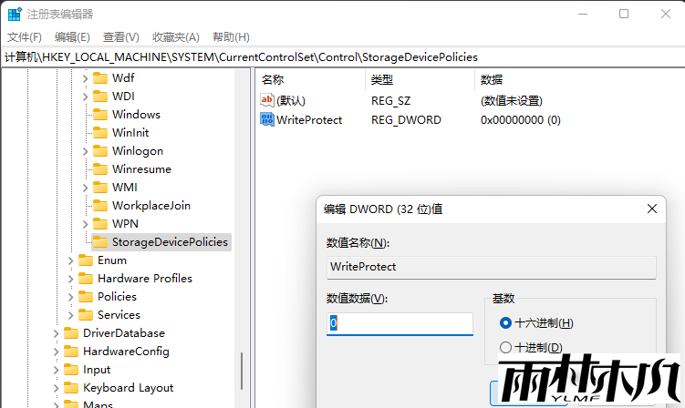 Win11磁盘被写保护怎么解除？